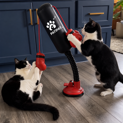 Kedi Boks Torbası