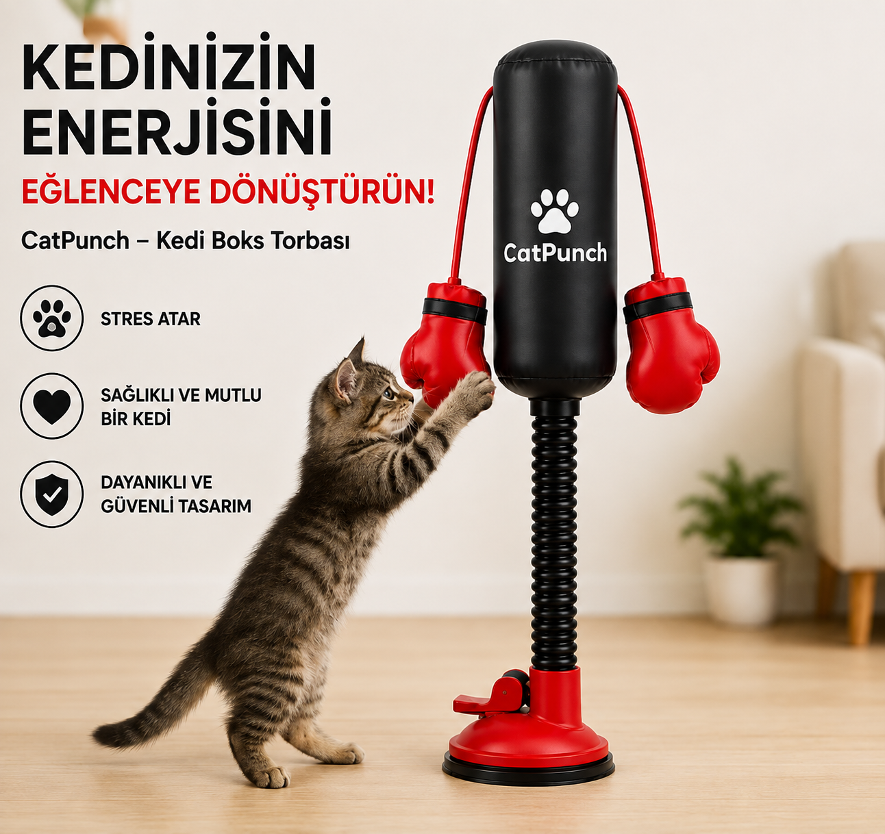 Kedi Boks Torbası