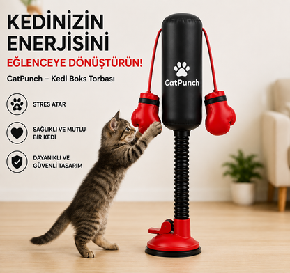 Kedi Boks Torbası