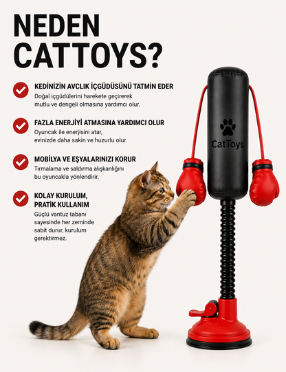 Kedi Boks Torbası